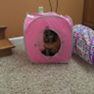 Meet your Posher, Jordan